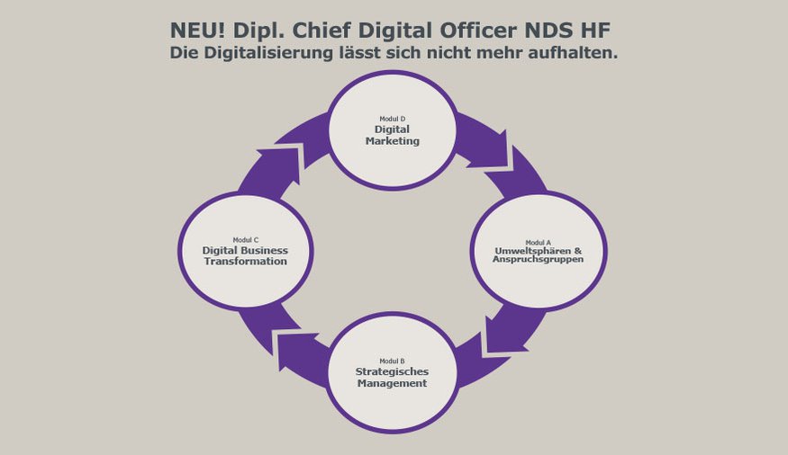 Dipl-chief-digital-officer-nds-hf_Module.jpg