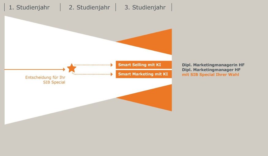 sib-dipl-marketingmanager-hf_SIB_Specials_Infografik.png